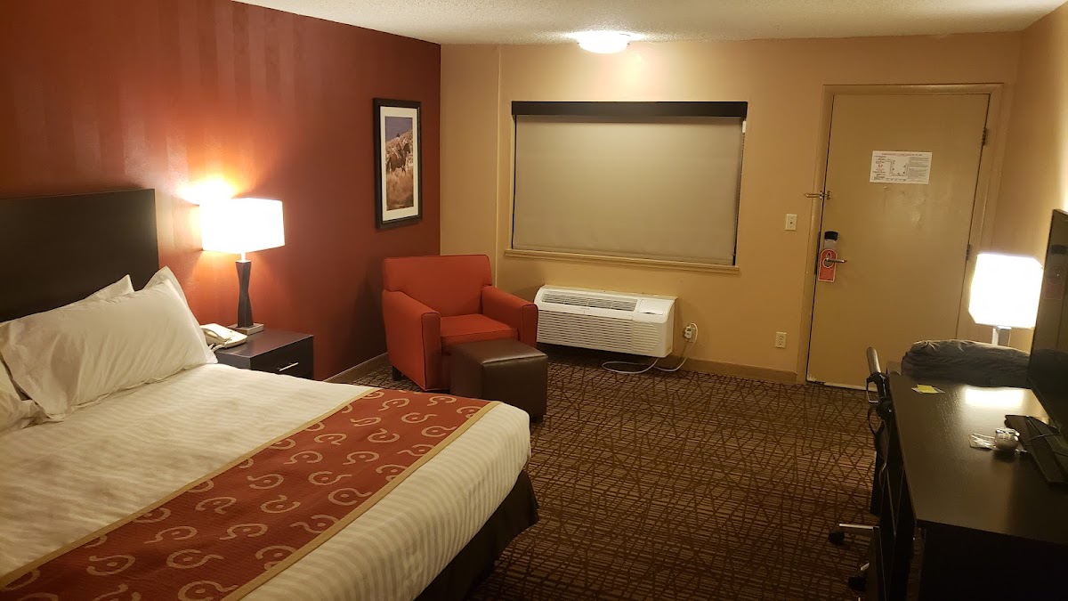 C Punch Inn & Casino photo 2