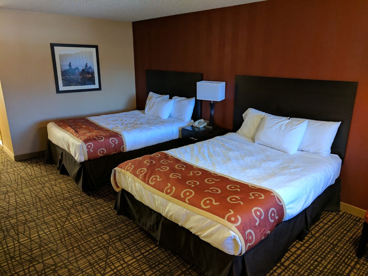 C Punch Inn & Casino photo 3