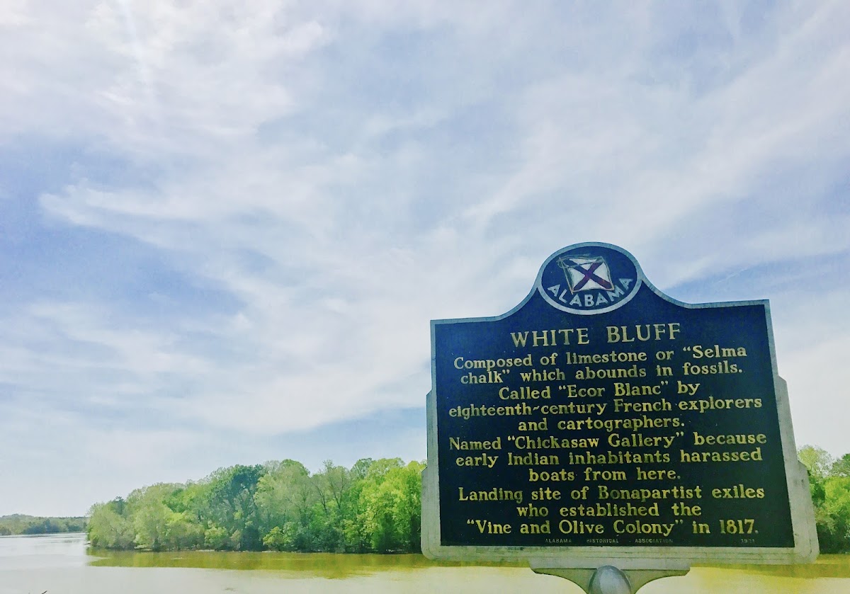 White Bluff Historical Marker