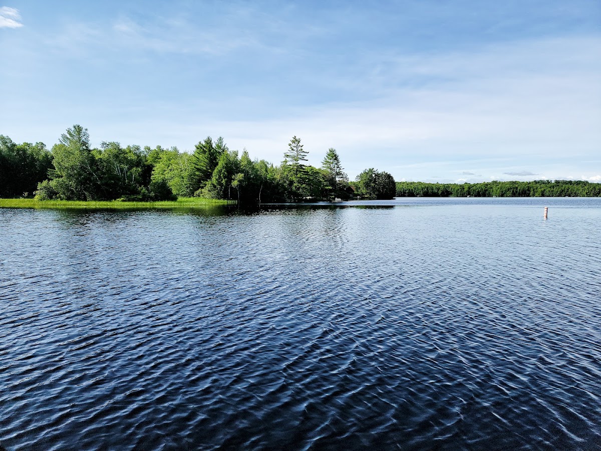 Mystic Moose Resort photo 2