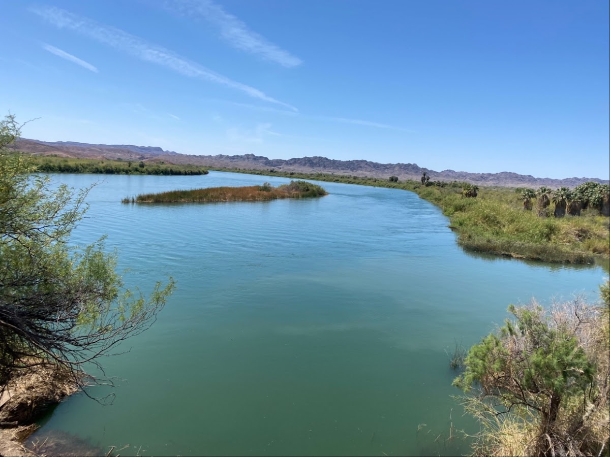 Martinez Lake Resort & Cantina photo 3