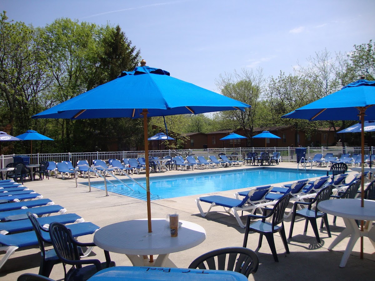Island Club Rentals photo 2