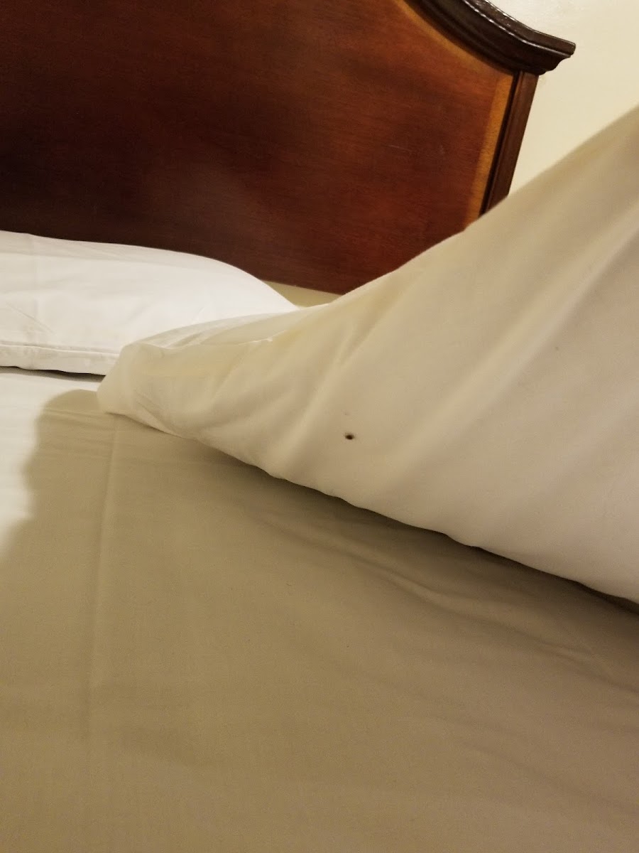 Niagara Falls Motel photo 3
