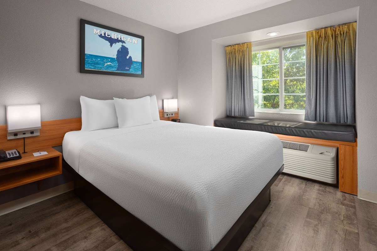 Microtel Inn & Suites by Wyndham Ann Arbor photo 2