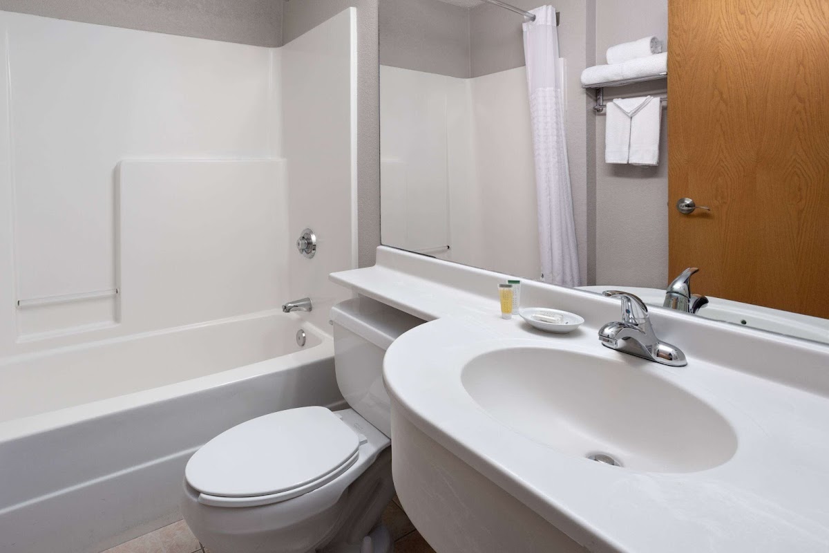 Microtel Inn & Suites by Wyndham Ann Arbor photo 3