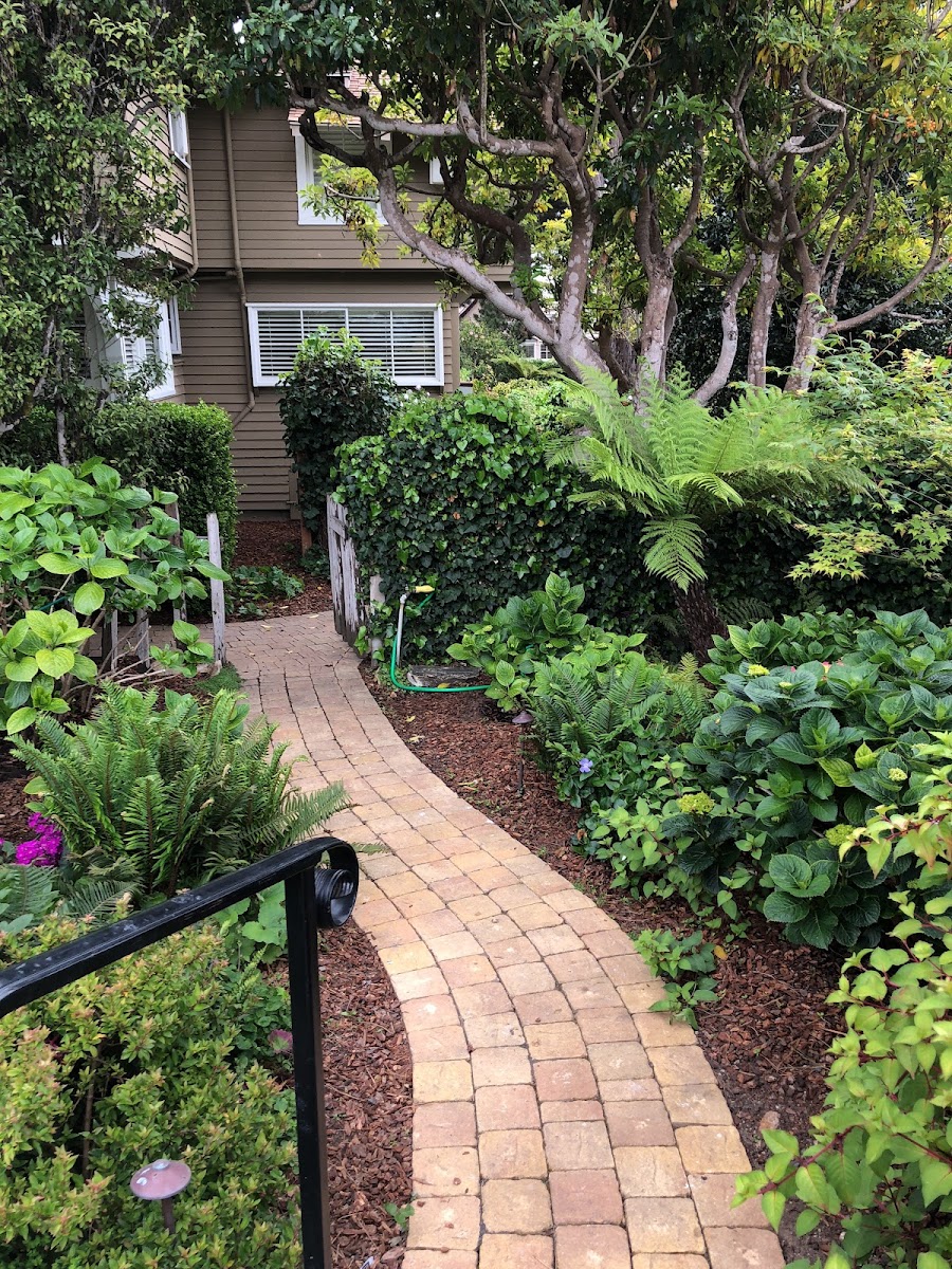Carmel Cottage Inn photo 3
