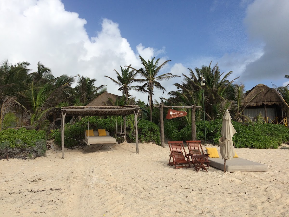 Las Palmas Maya, Tulum photo 2