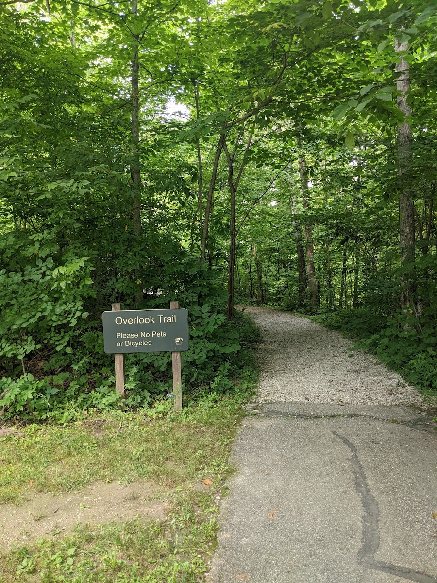 Cedar Ridge Lodge