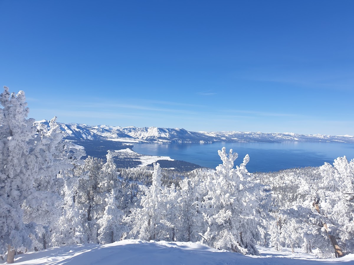 Heavenly Stagecoach Lodge photo 3