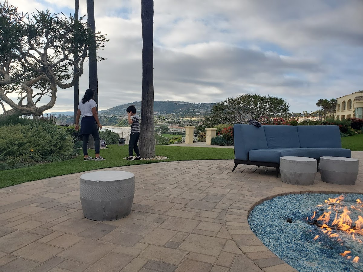 The Ritz-Carlton, Laguna Niguel photo 3