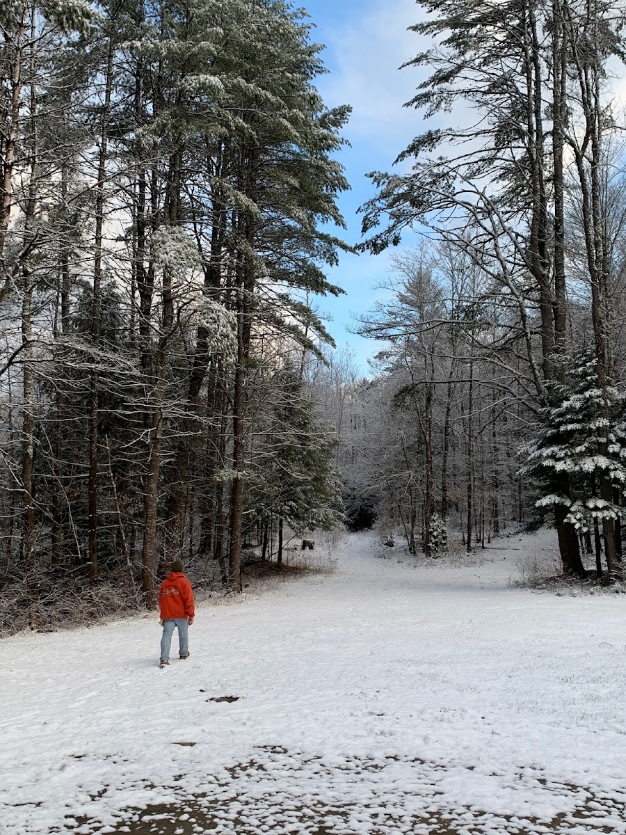 Twin Pine Lodge photo 3