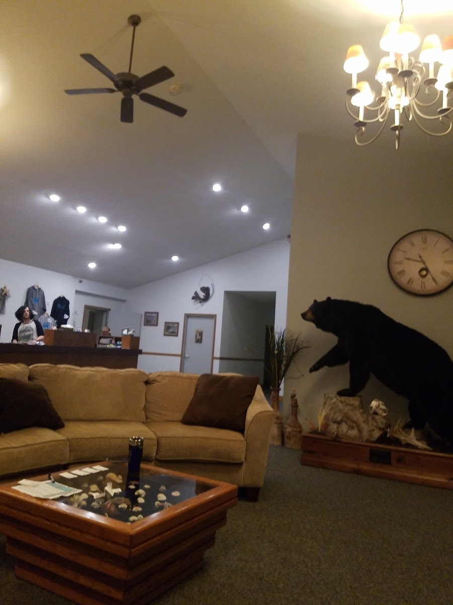 Pepin Motel photo 3