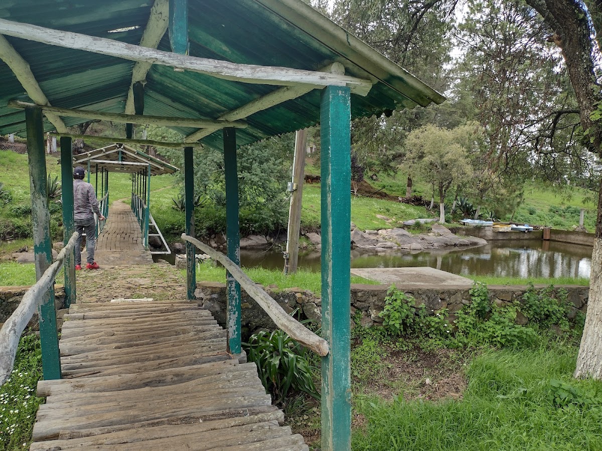 Rancho el Aguaje Campina del Eden photo 2