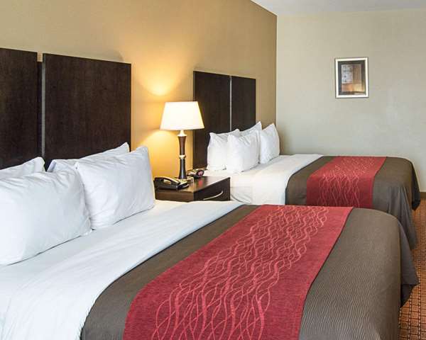 Comfort Inn & Suites Monahans I-20 photo 3
