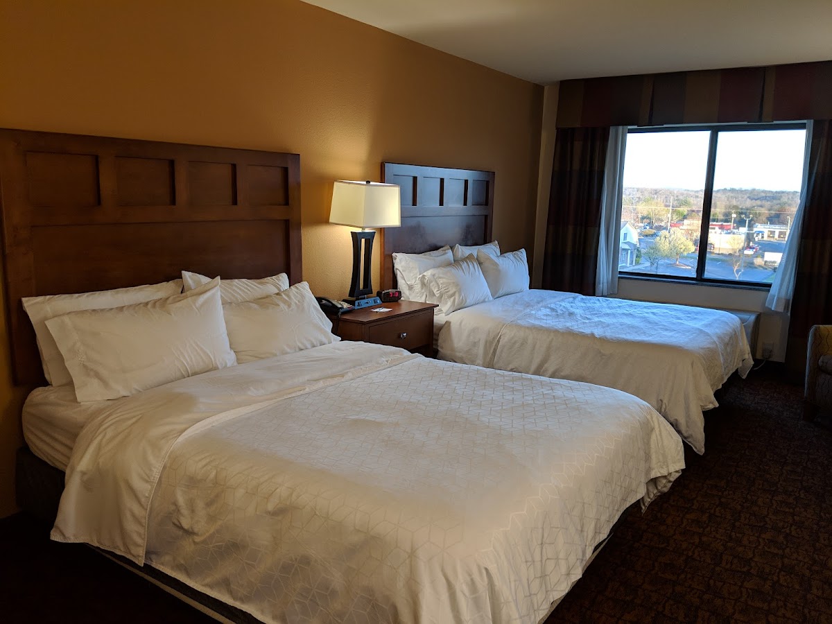 Holiday Inn Express & Suites Mount Airy photo 2