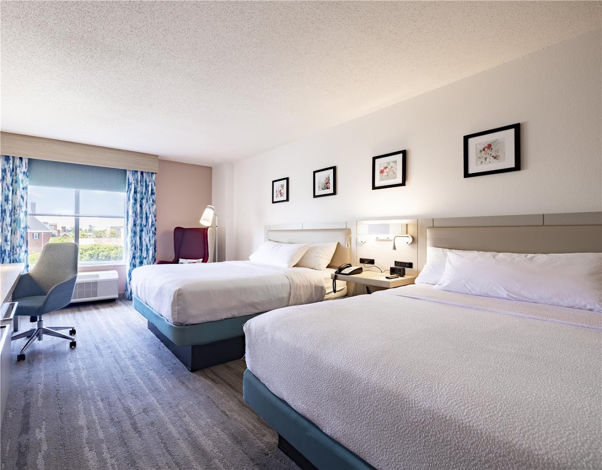 Hilton Garden Inn Albany photo 2