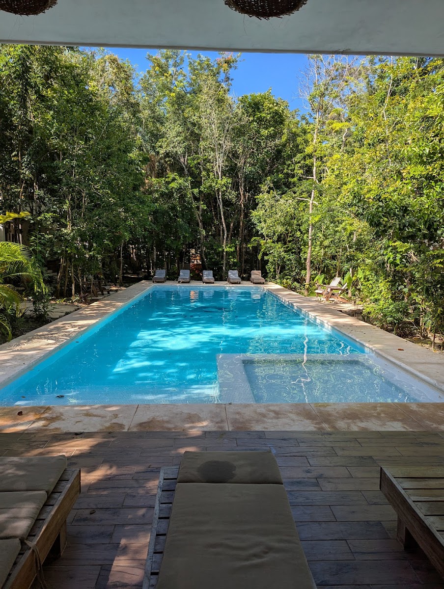 Aqua Viva, Bacalar photo 3