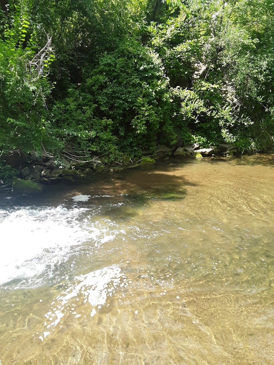 Buffalo Ridge Resort and Spa photo 2