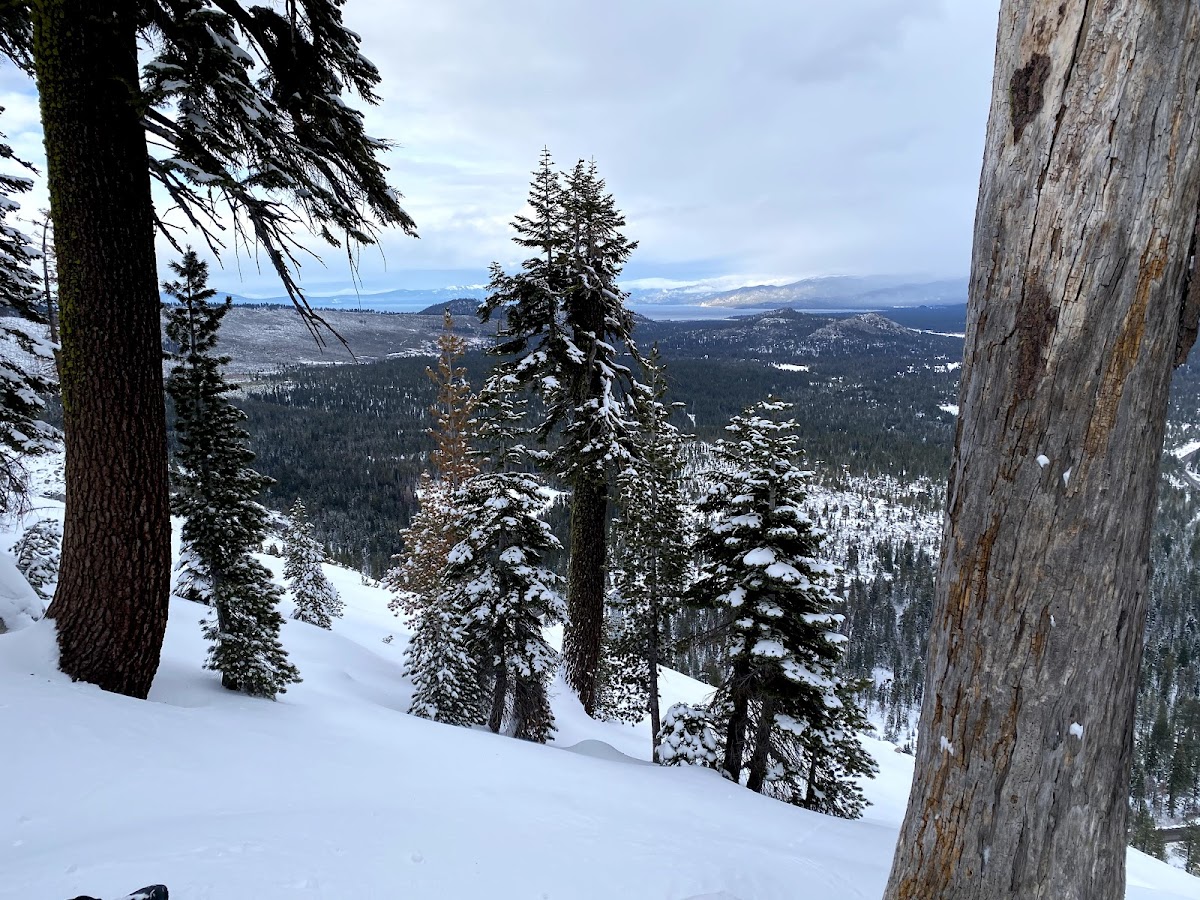 Echo Chalet photo 3