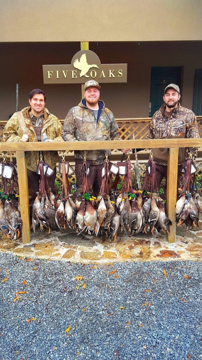 Five Oaks Hunting Lodge photo 2