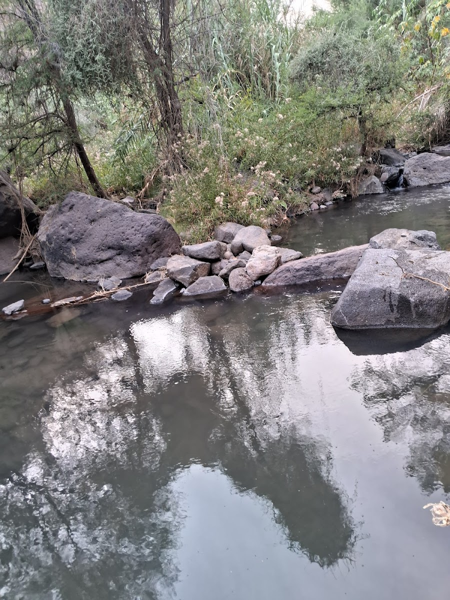 Río de agua termal Cuquio