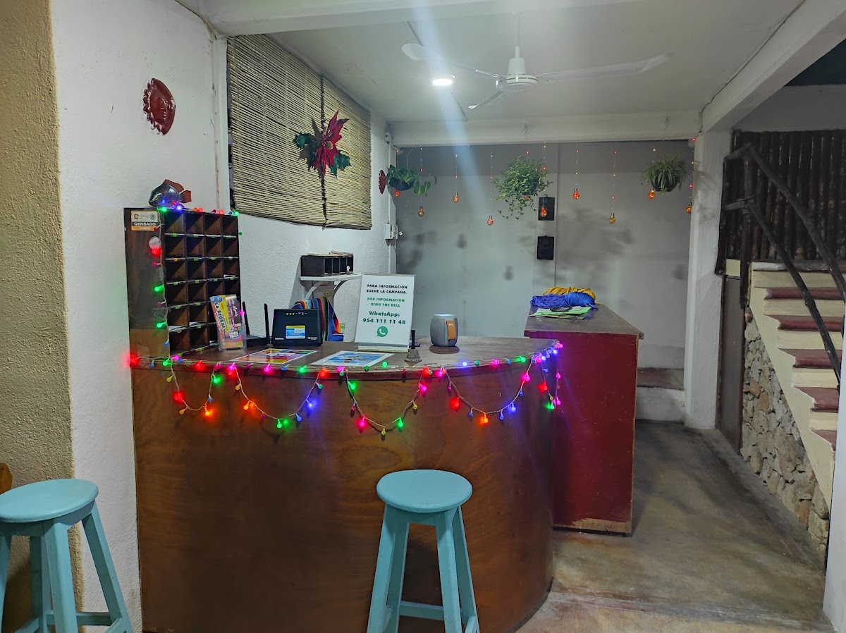 HOTEL PAPAYA SURF photo 2