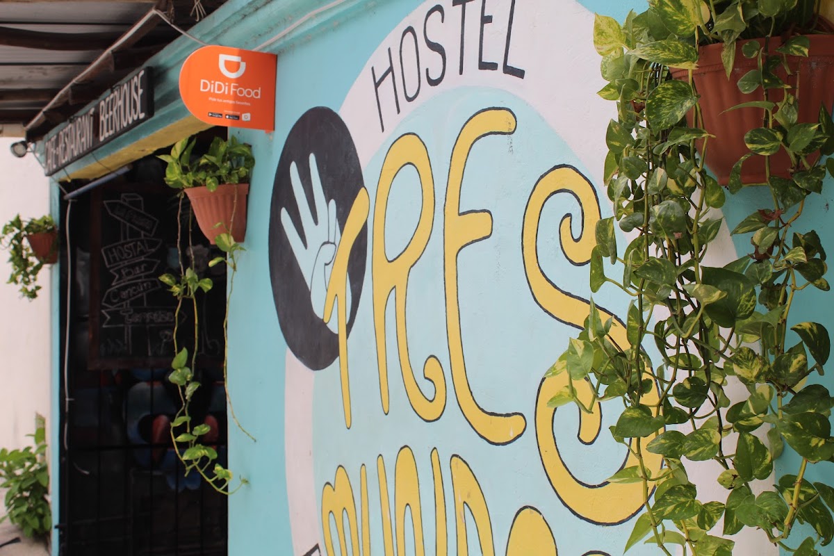 Tres Mundos Hostel & Beerhouse photo 3