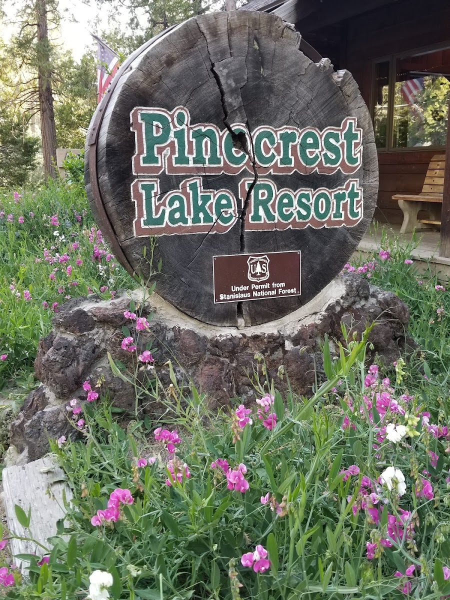 Pinecrest Lake Resort photo 3