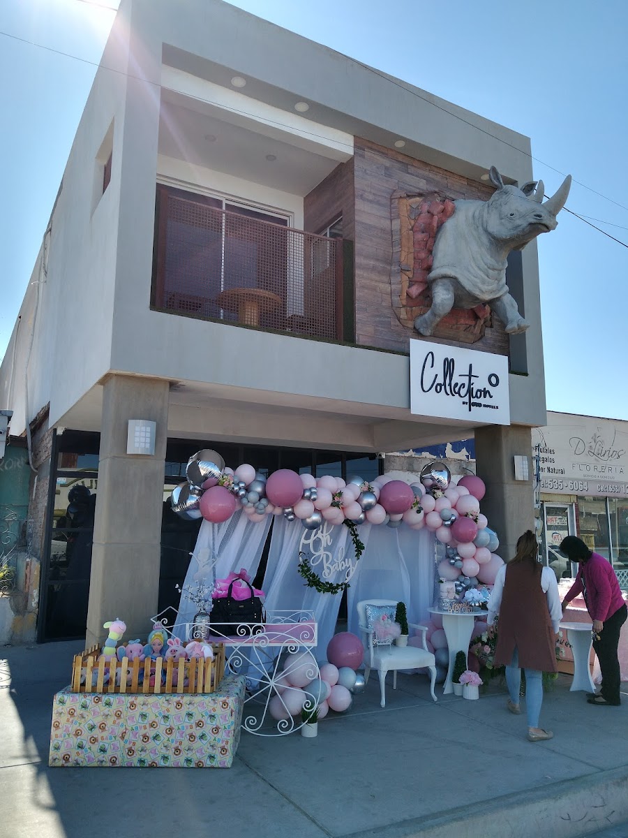 OYO Rhino Downtown