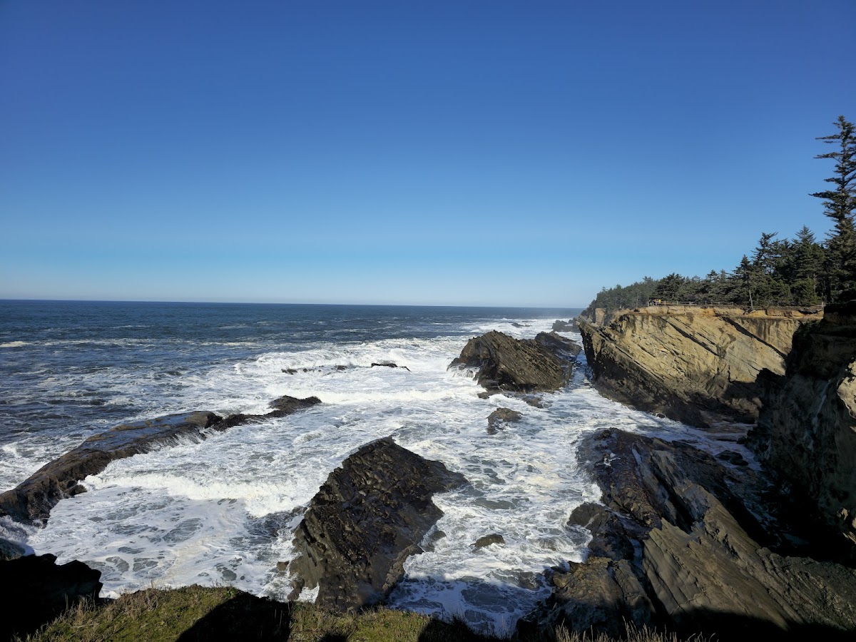 Shore Acres State Park