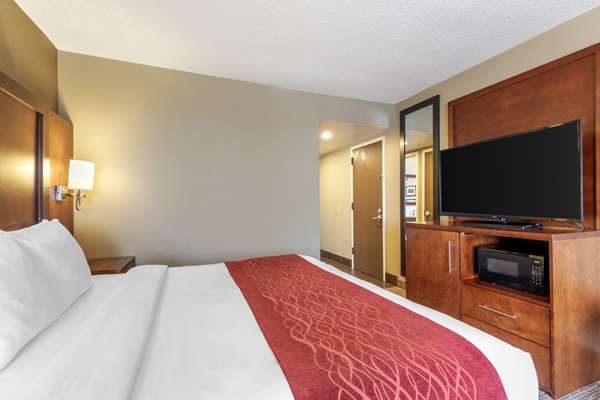 Comfort Inn and Suites Aberdeen near APG photo 3