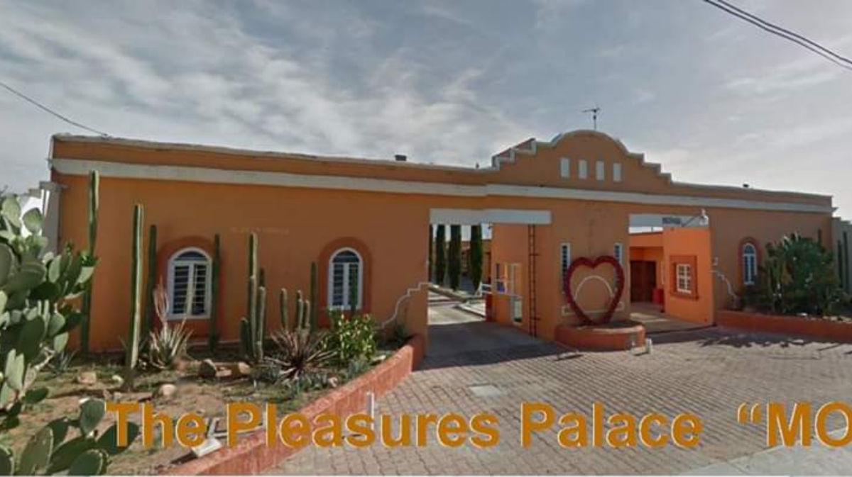 Pleasure's Palace