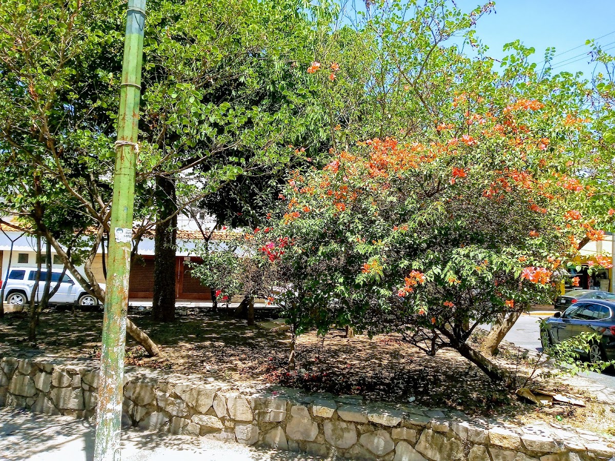 BARRIO DE TEQUICORRAL photo 2