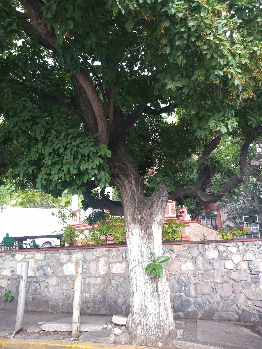 BARRIO DE TEQUICORRAL photo 3