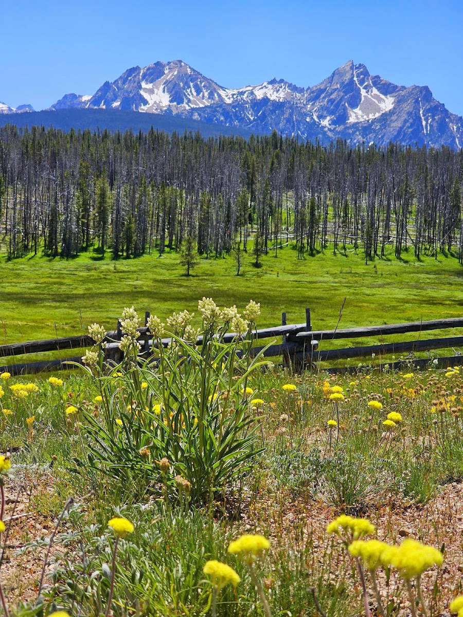 Park Creek Overlook and Ski Area