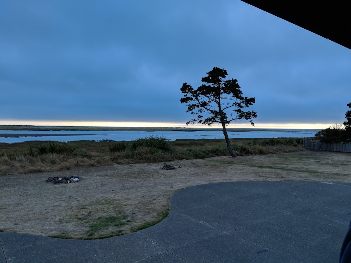 Tradewinds On The Bay photo 3