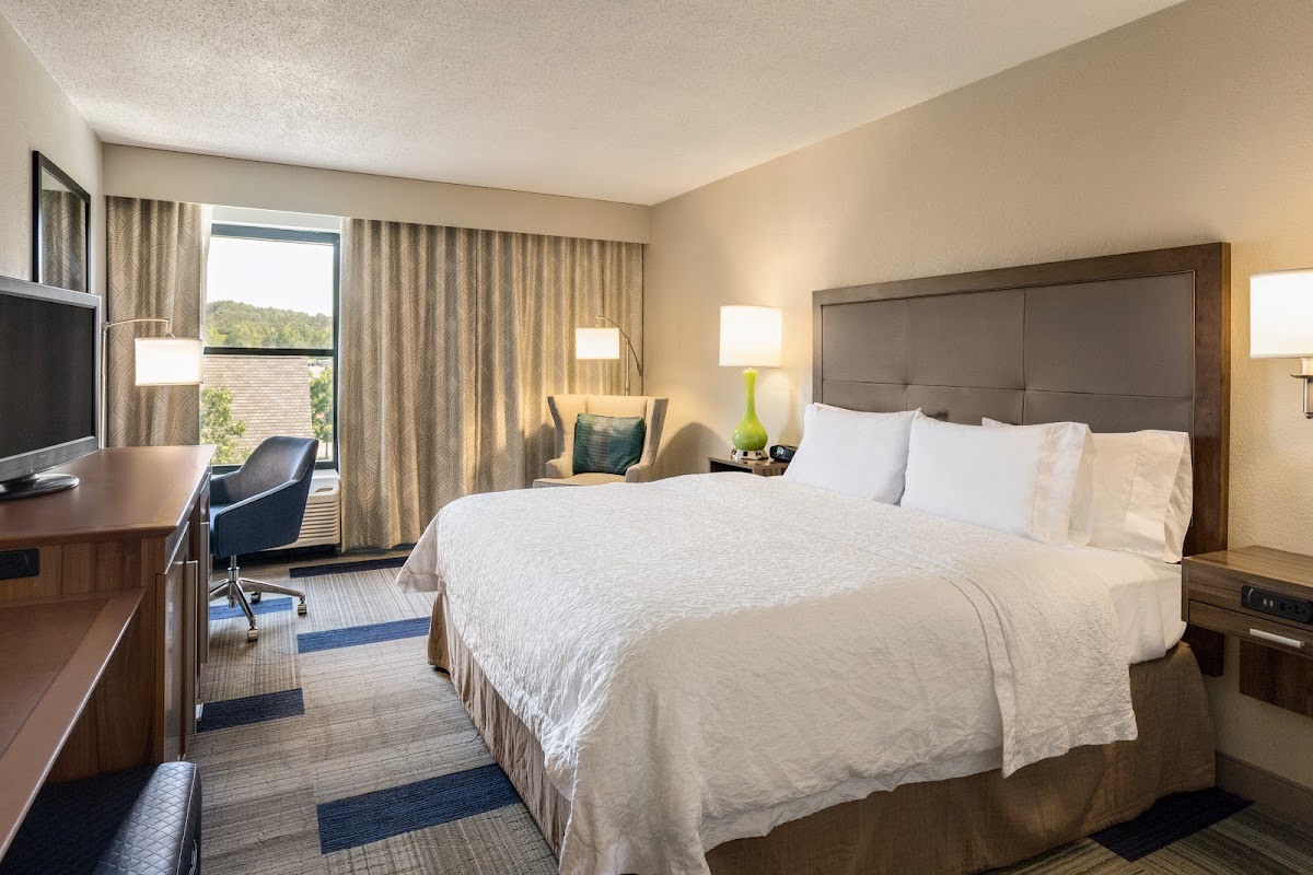 Hampton Inn Birmingham/Trussville photo 2