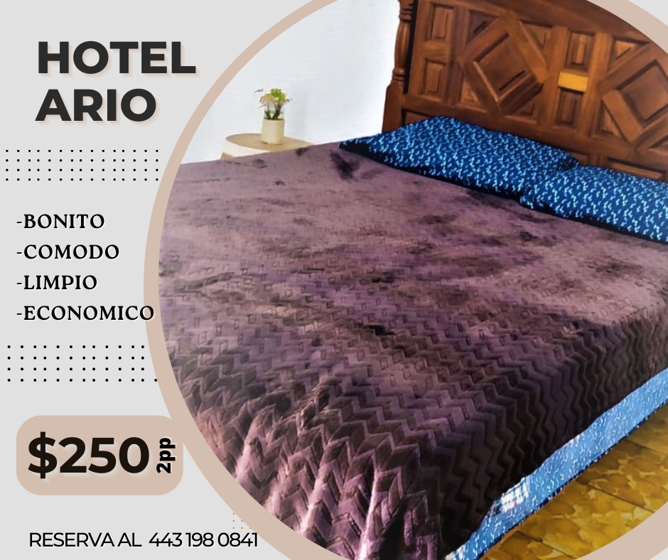 Hotel Ario Económico photo 3