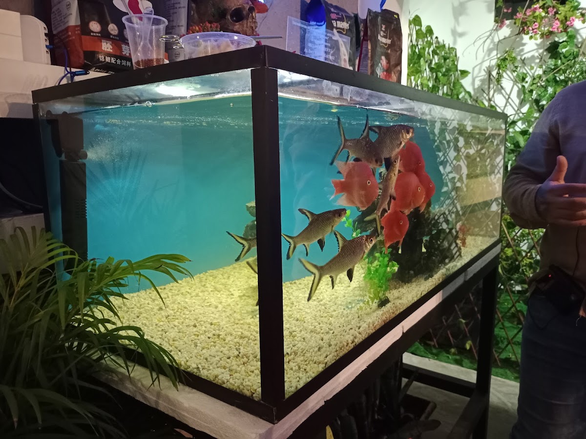 Blue World Aquarium Tapachula