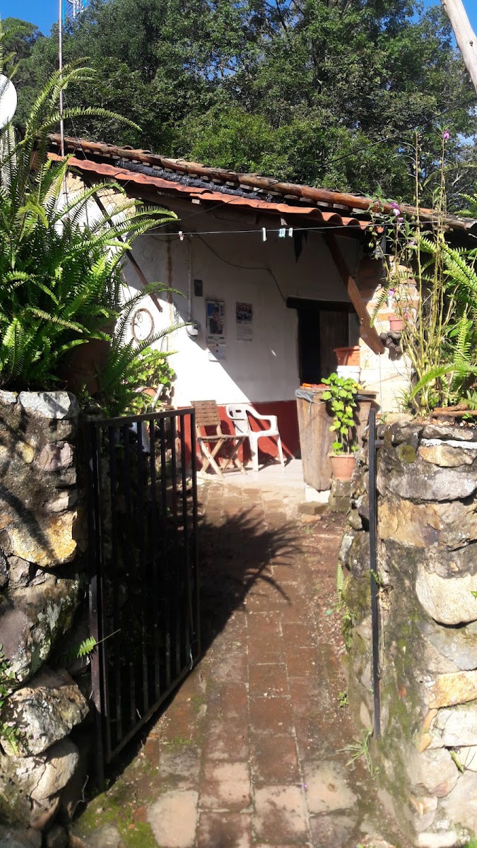Hotel El Pabellon Mexicano photo 3