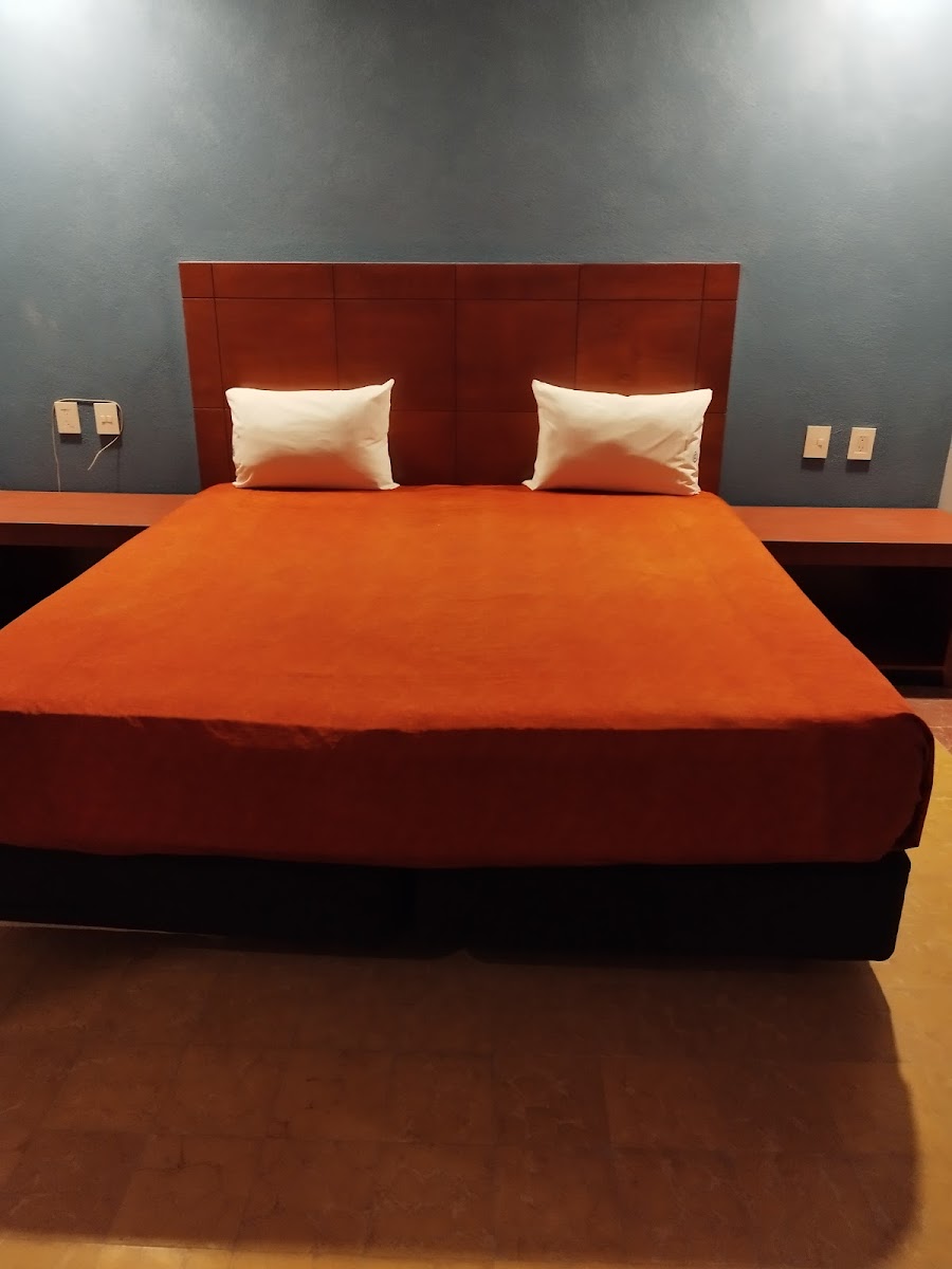 HOTEL HISPANO CORREGIDORA photo 3