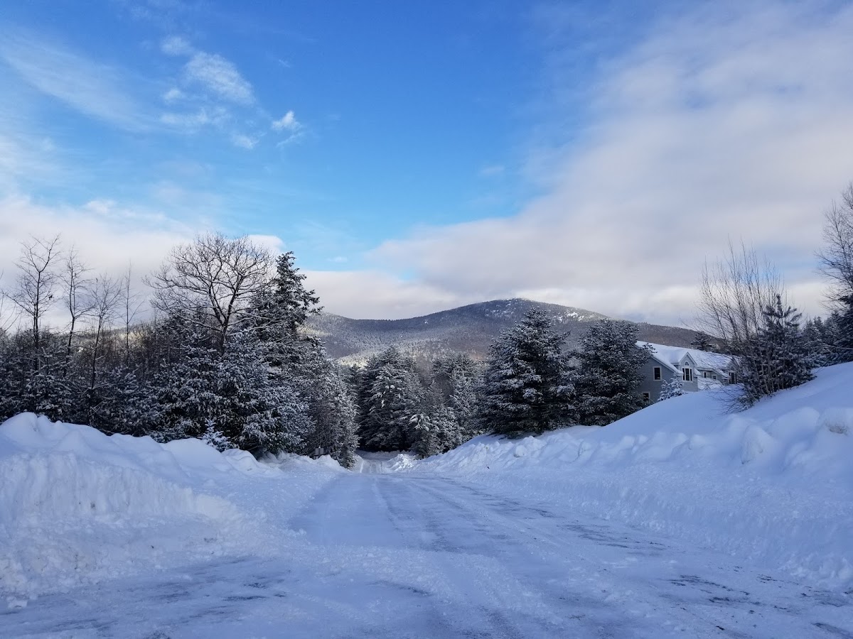 Mountain View Resort photo 3