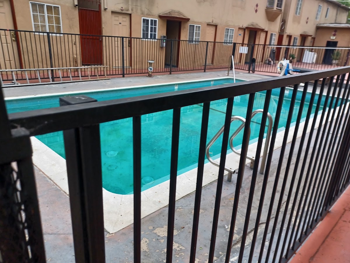 Vine Lodge Hotel photo 2