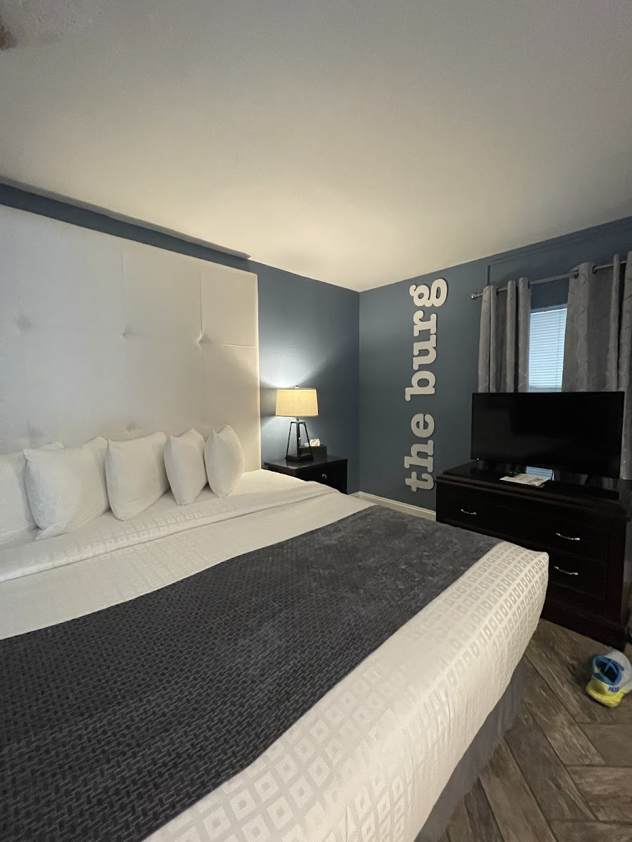 Avalon Hotel St. Petersburg / Downtown photo 2
