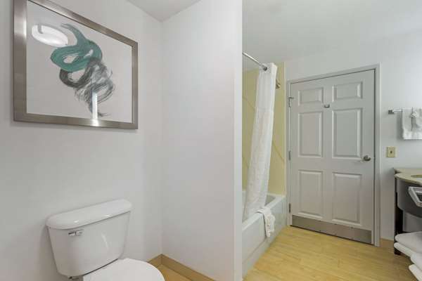 Comfort Inn & Suites Port Charlotte-Punta Gorda photo 2