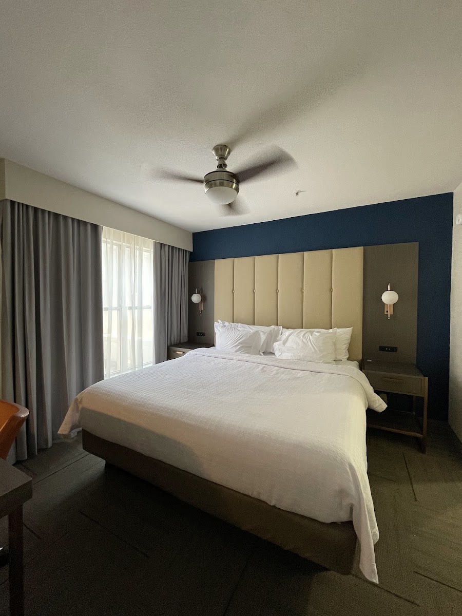 Homewood Suites by Hilton Jackson-Ridgeland photo 2