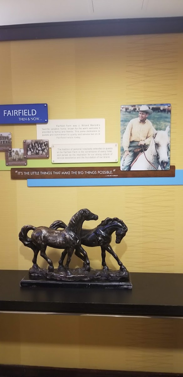 Fairfield by Marriott Inn & Suites Lexington North photo 3
