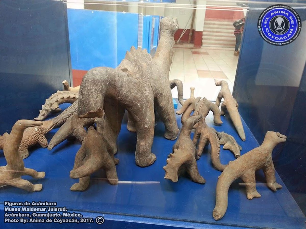 Museo Waldemar Julsrud A.C.