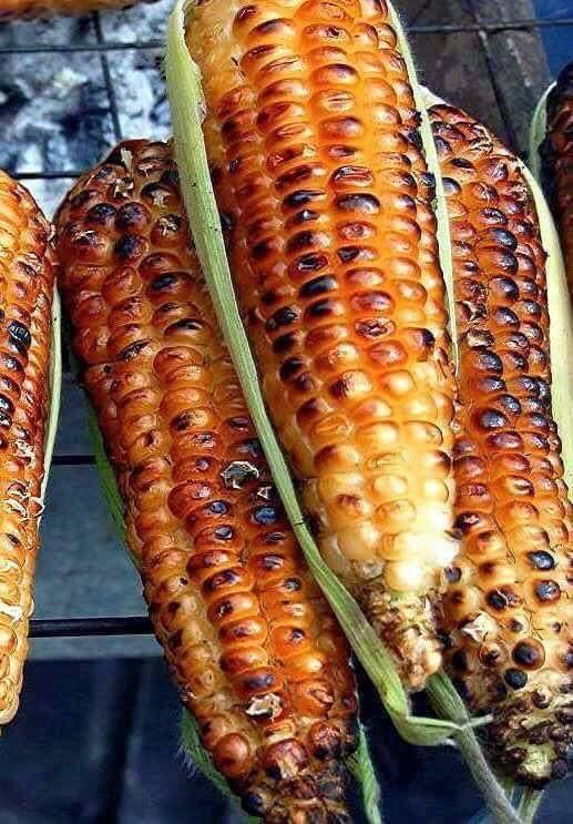 Hotel Vista Inn photo 2