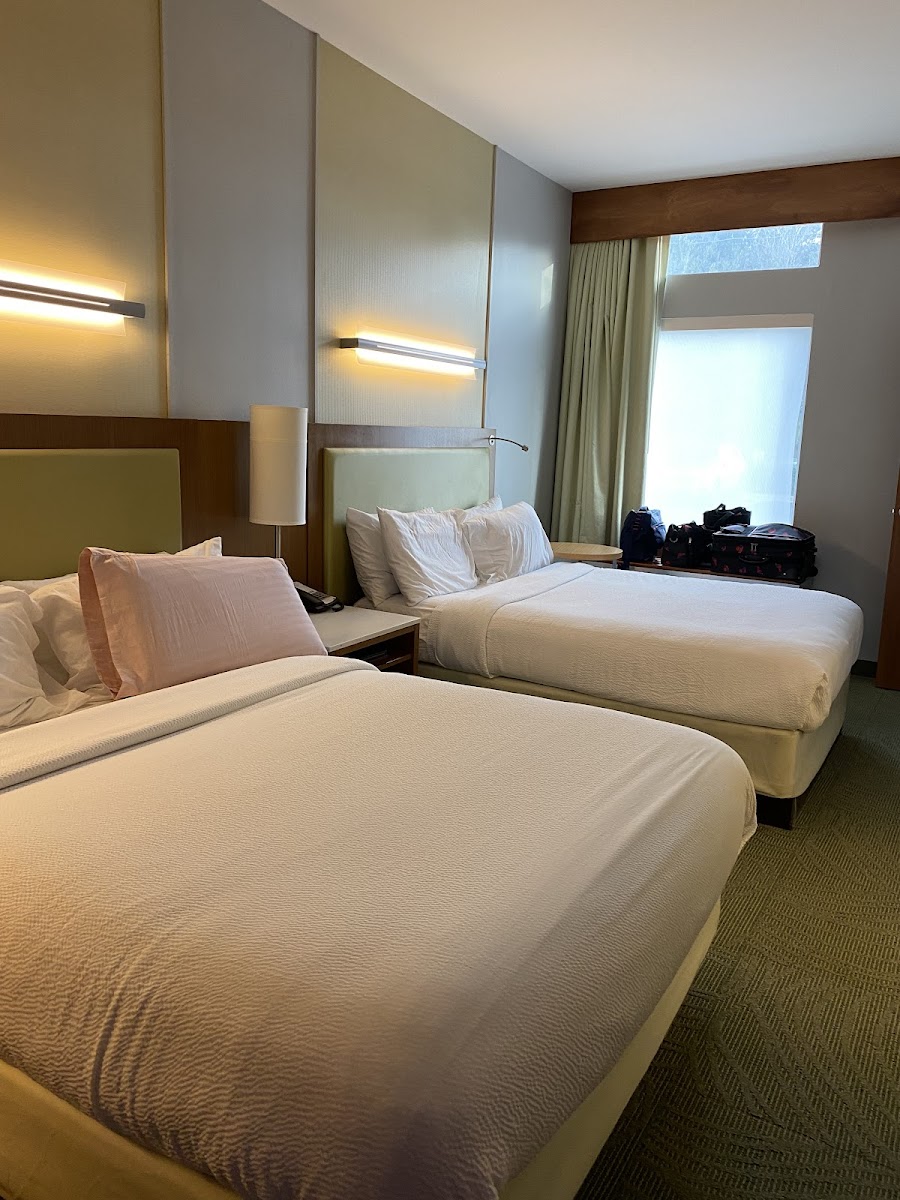 SpringHill Suites by Marriott Pensacola photo 3